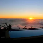 Madeira Native Motion *