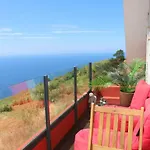 Madeira Native Motion *