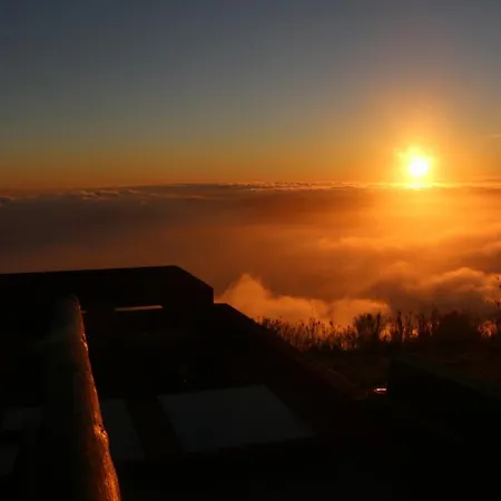 Madeira Native Motion *