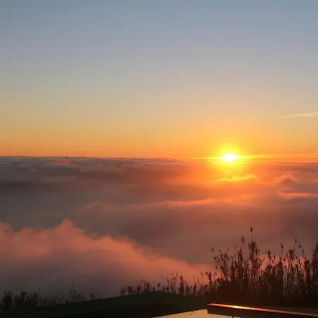 Madeira Native Motion Ponta do Pargo