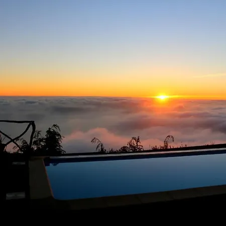 Madeira Native Motion *