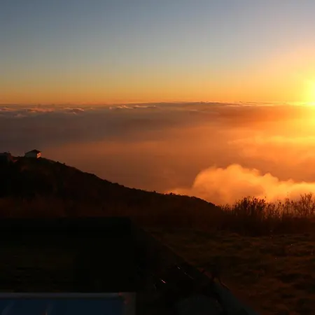 Madeira Native Motion *