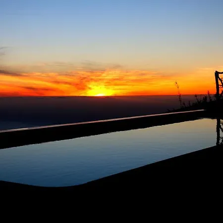 Madeira Native Motion