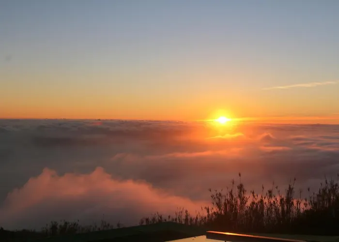 Madeira Native Motion Ponta do Pargo