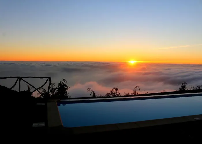 Madeira Native Motion *