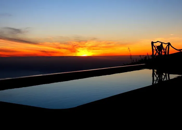 Madeira Native Motion