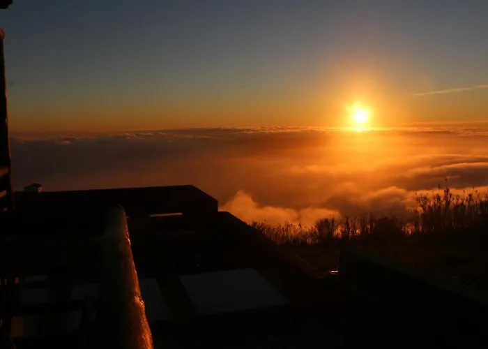 Madeira Native Motion *