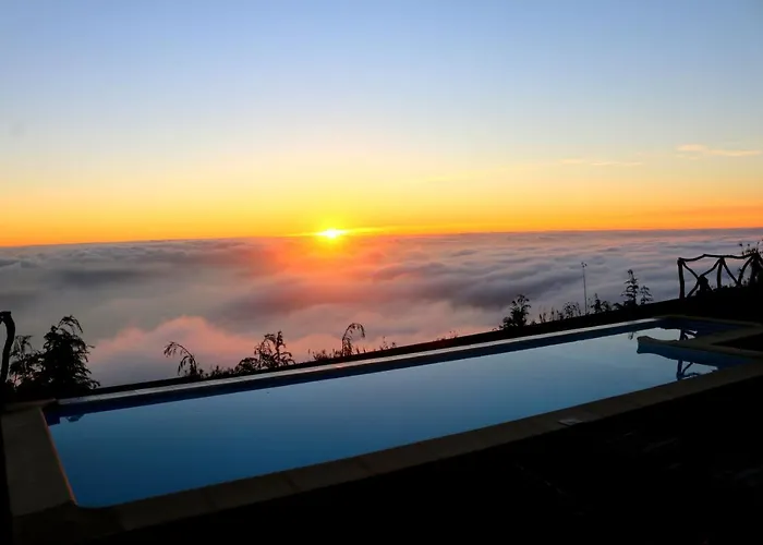 Madeira Native Motion Appartement