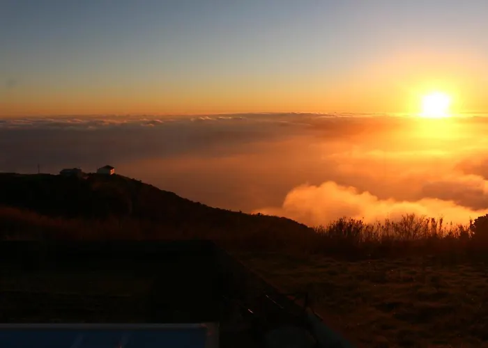 Madeira Native Motion *