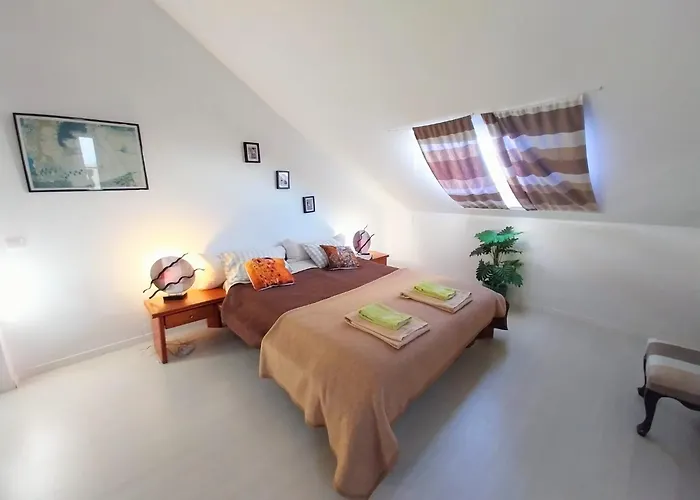 Madeira Native Motion Appartement